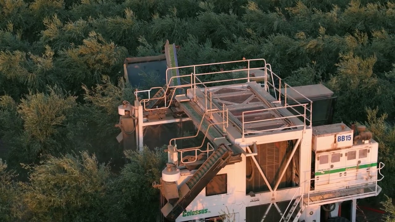Cobram Estate - Brand Video 2024