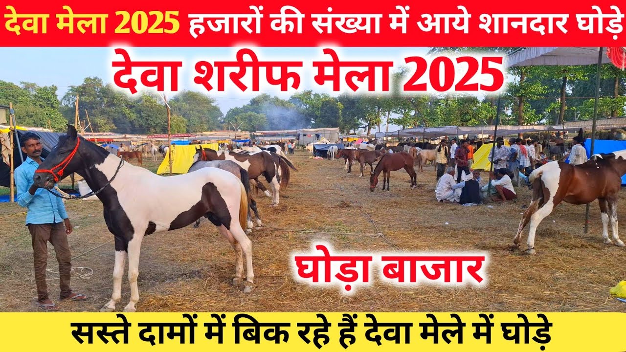 देवा मेला 2025 घोड़ा बाजार में आये हज़ारों शानदार घोड़े 🎊🔥 |Dewa mela ghoda bazar |Dewa mela 2025