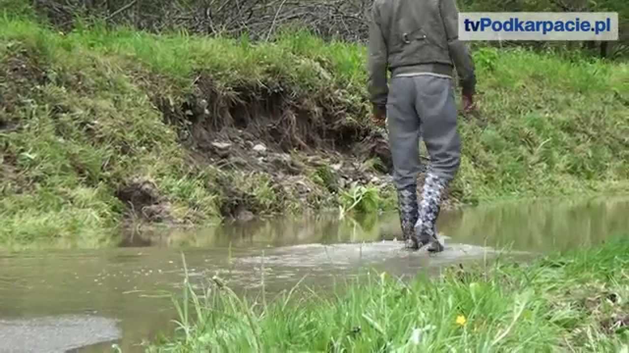 Osława tej nocy groźna jak nigdy. Zalewała piwnice, podtapiała mieszkania (FILM)