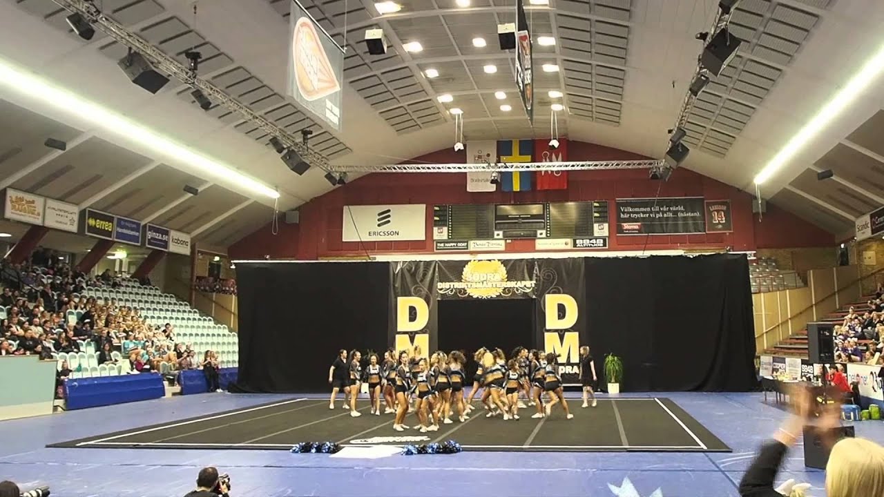 GCO Wildcats, DM 2015
