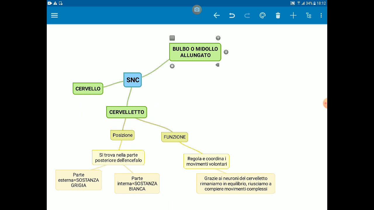 VIDEO 4   IL CERVELLETTO E IL BULBO