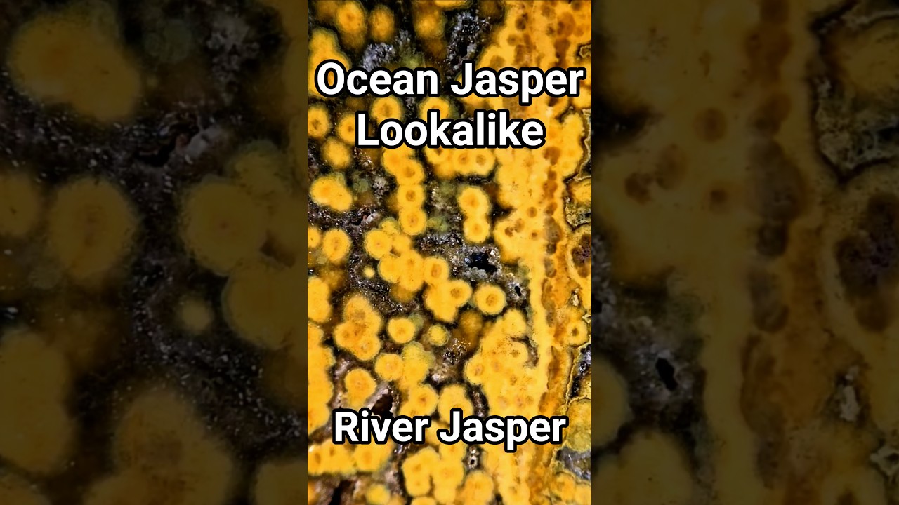 Ocean Jasper Lookalike? 😱 River Jasper vs. Ocean Jasper #shorts #Crystals #Gemstone #Rocks #Jasper
