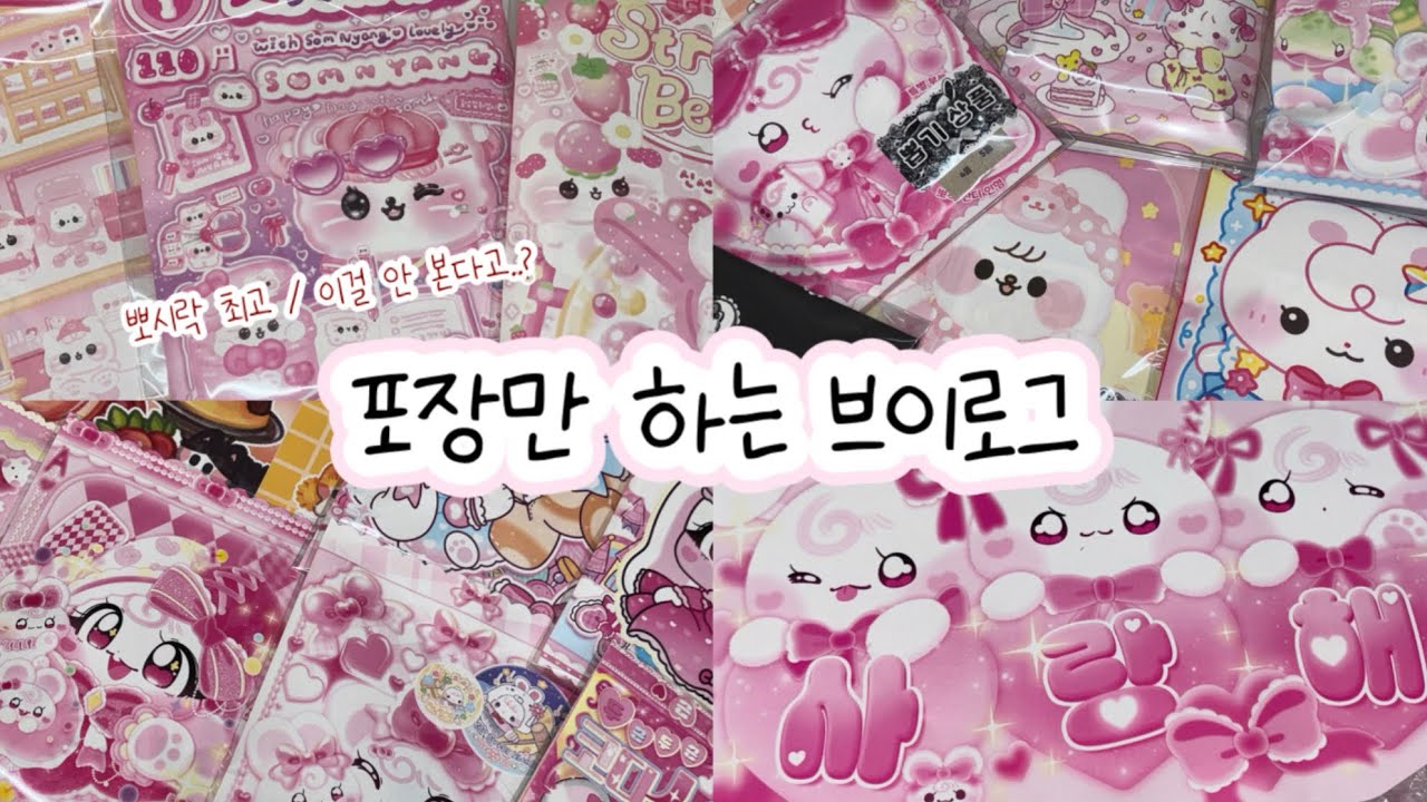 #포용 브이로그/포장만/비수기/#포용 포용계 #포장계 #sanrio #asmr#문구덕후 