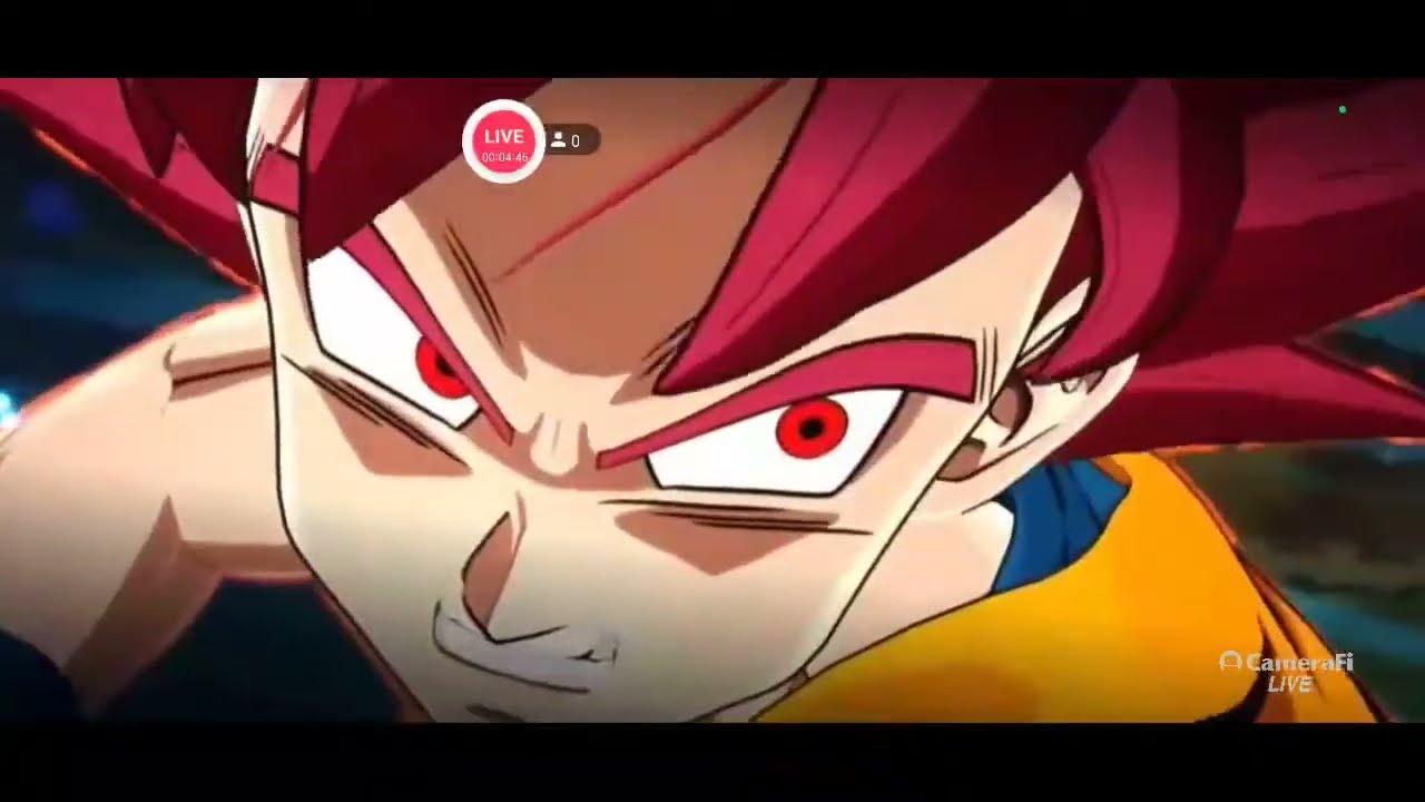 dragon ball z playing game