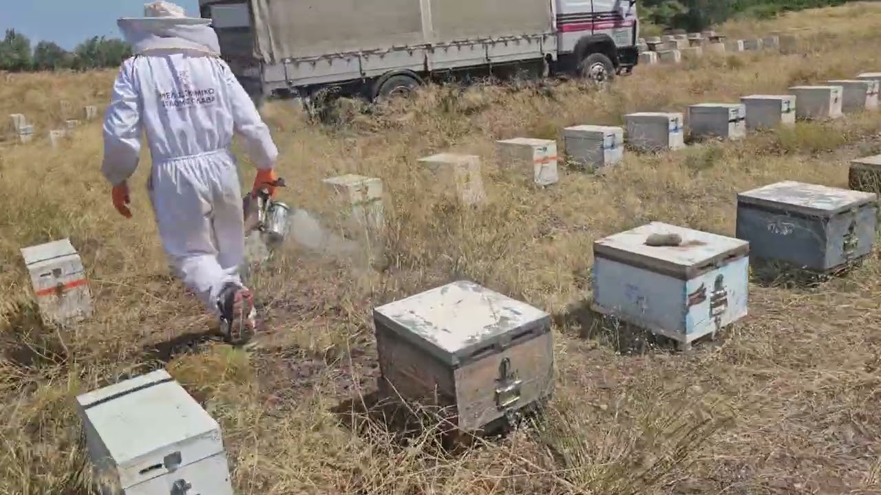 ΜΕ ΤΟΝ ΚΑΥΣΩΝΑ ΣΤΑ ΜΕΛΙΣΣΙΑ