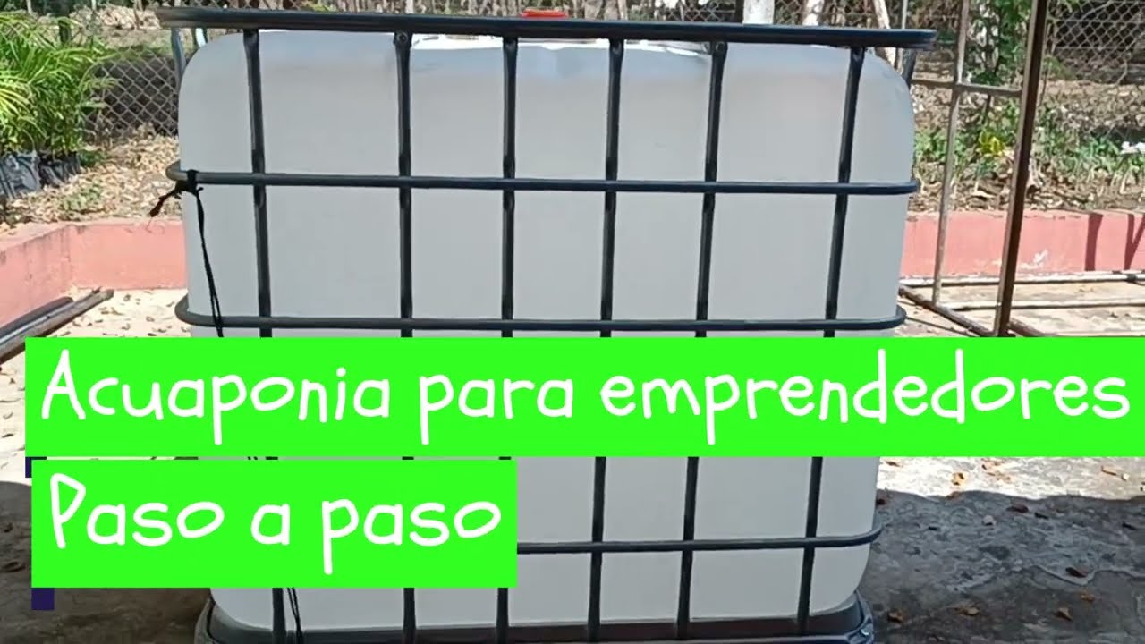 Acuaponía paso a paso para emprendedores
