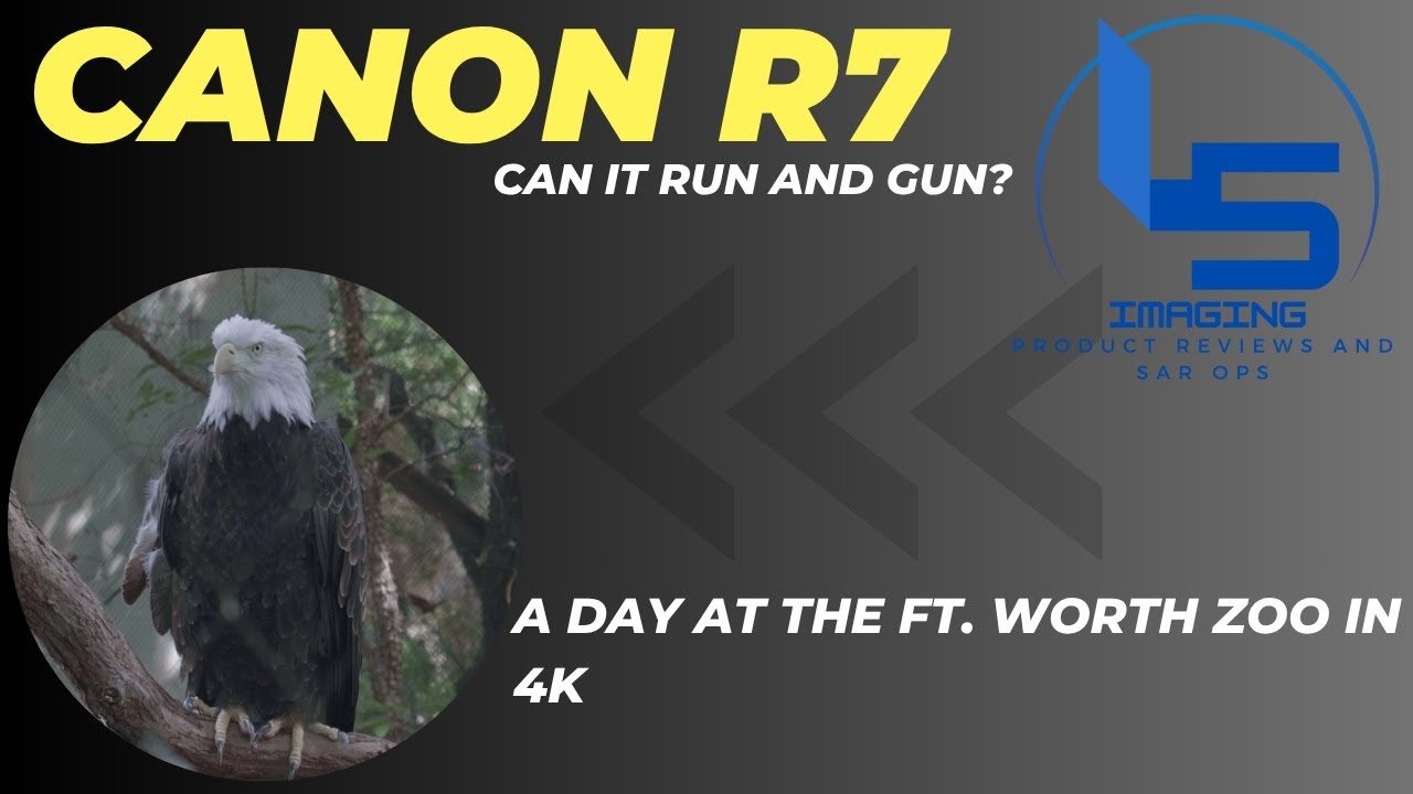 Is The Canon EOS R7 The Ideal Run And Gun Camera?