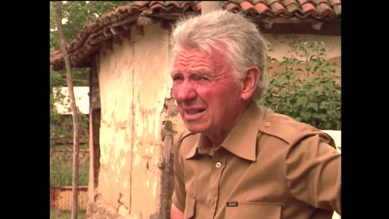 BLAGO ŠARKAMENA   GLAVA