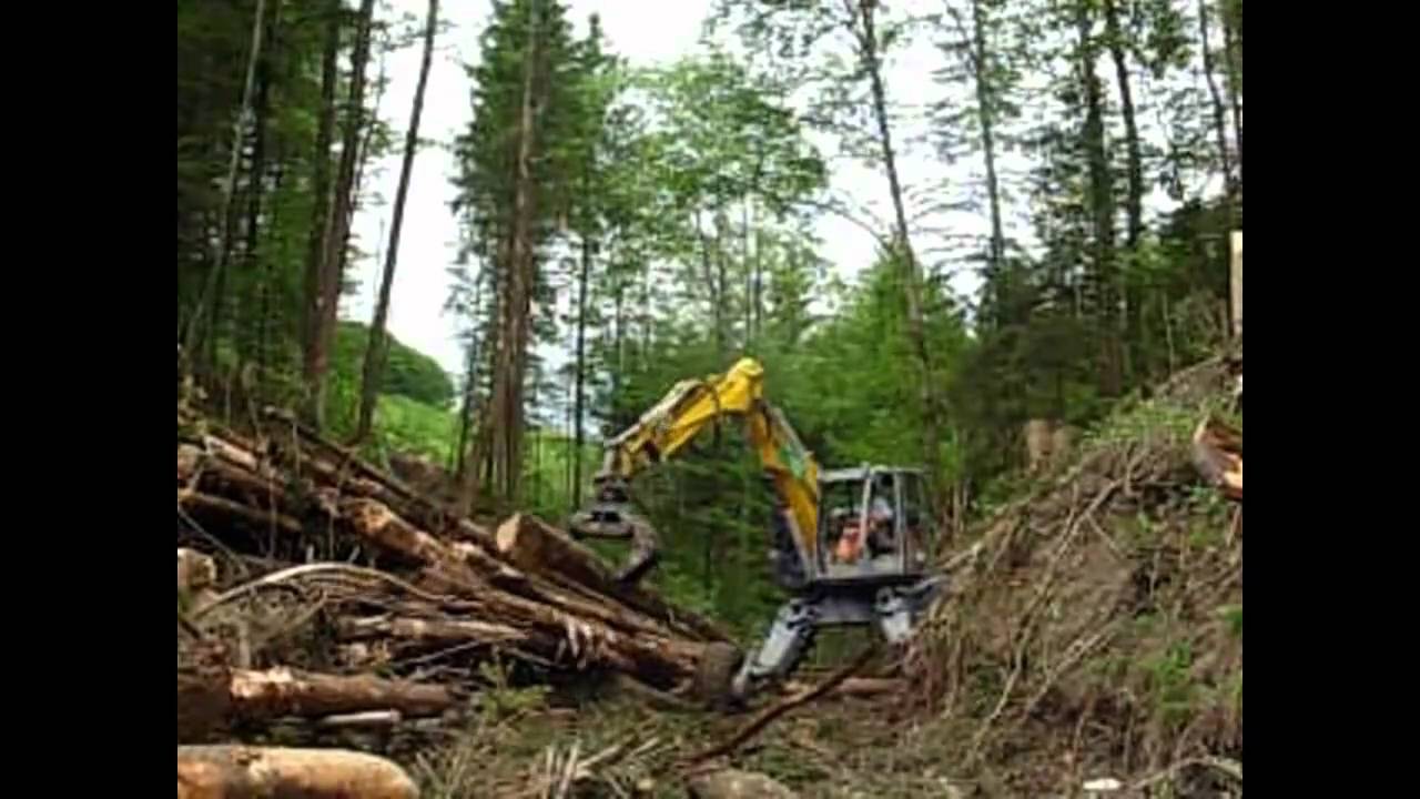 Oski im Stossbach mit Kaiser S2