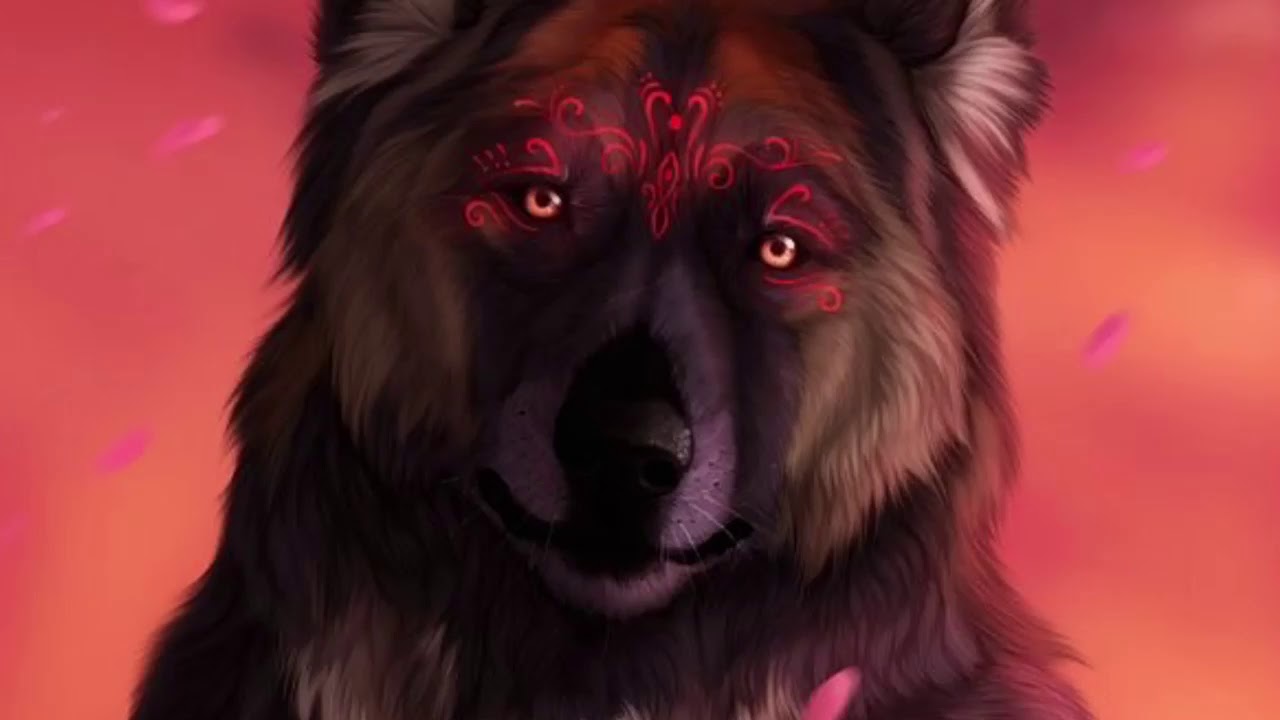 Anime Wolves- Believer