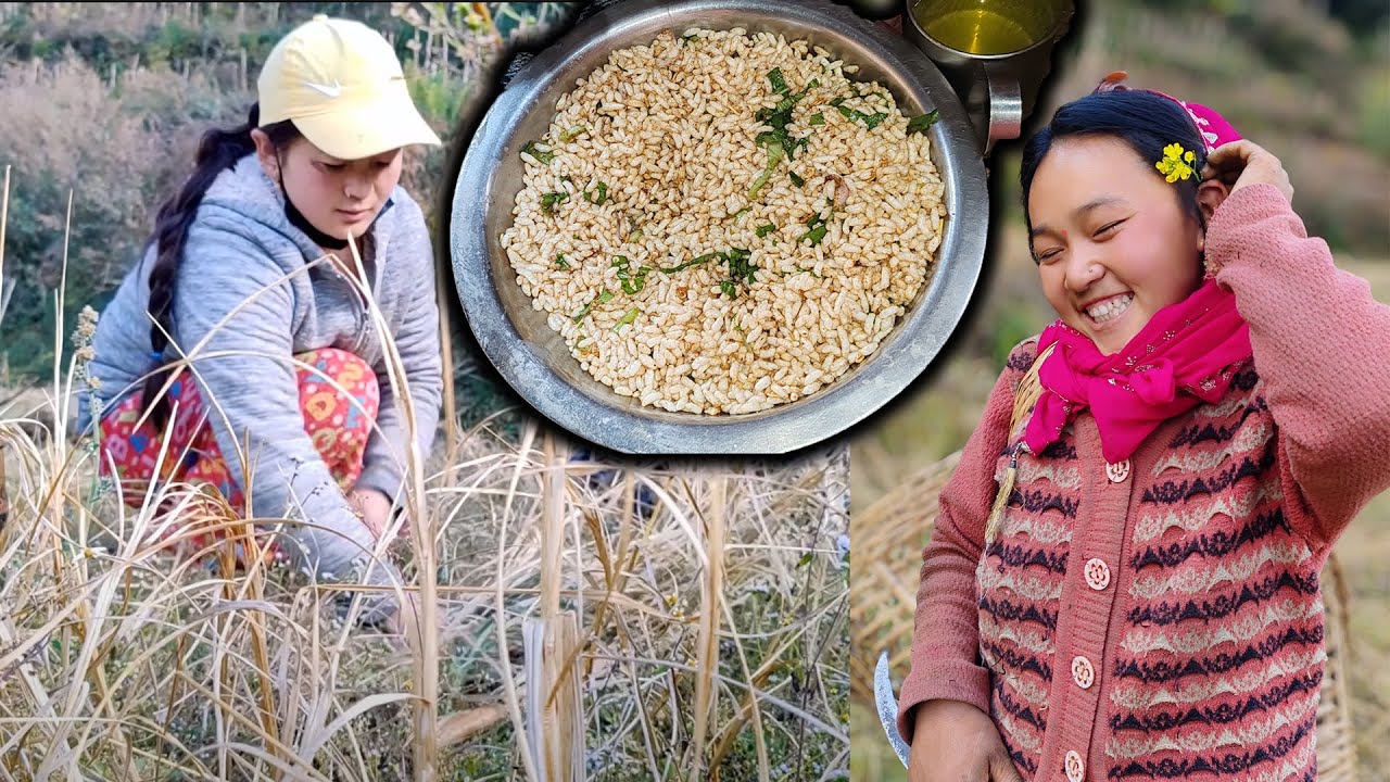 Cutting the grass with Sano Dimaa & eating Chatpate सानो दिमा सँग नल काट्यौ अनि चट्पटे पनी खायौ