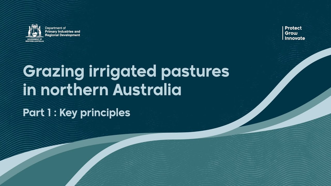 Grazing irrigated pastures in northern Australia &ndash; Key principles