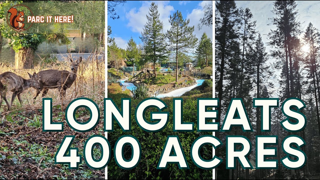 Is this the Longest Walk at Center Parcs? | Full Lodge-to-Plaza Walking Tour (Longleat Forest)