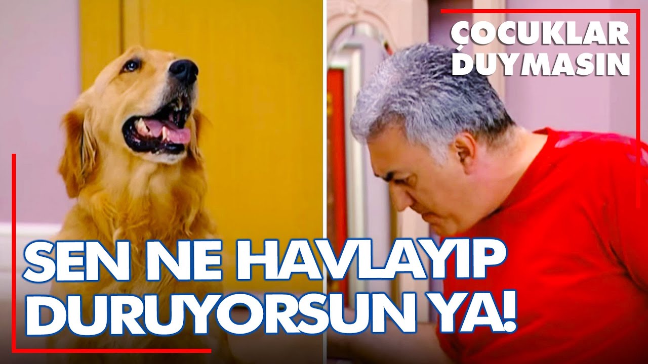 Haluk'un Orçun'un köpeğiyle büyük sınavı! 😂 - Çocuklar Duymasın 10. Bölüm