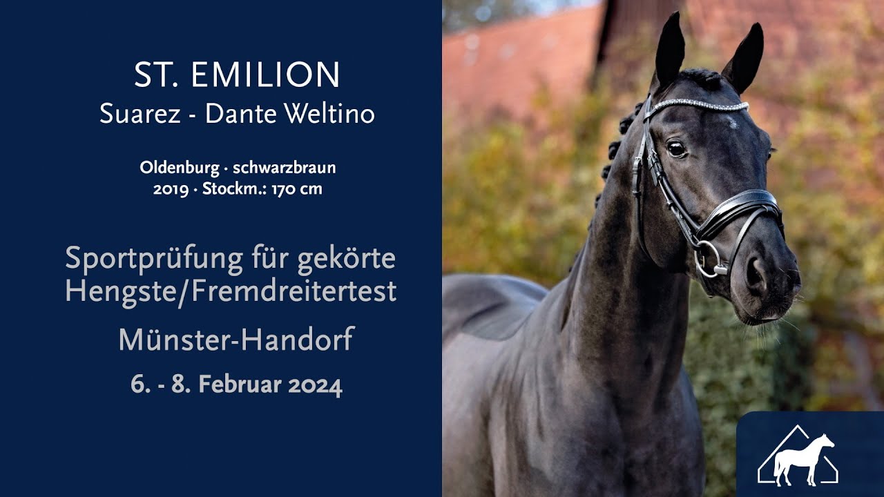 St Emilion/Sportprüfung für gekörte Hengste Münster-Handorf 6. - 8. Februar 2024/ Fremdreitertest