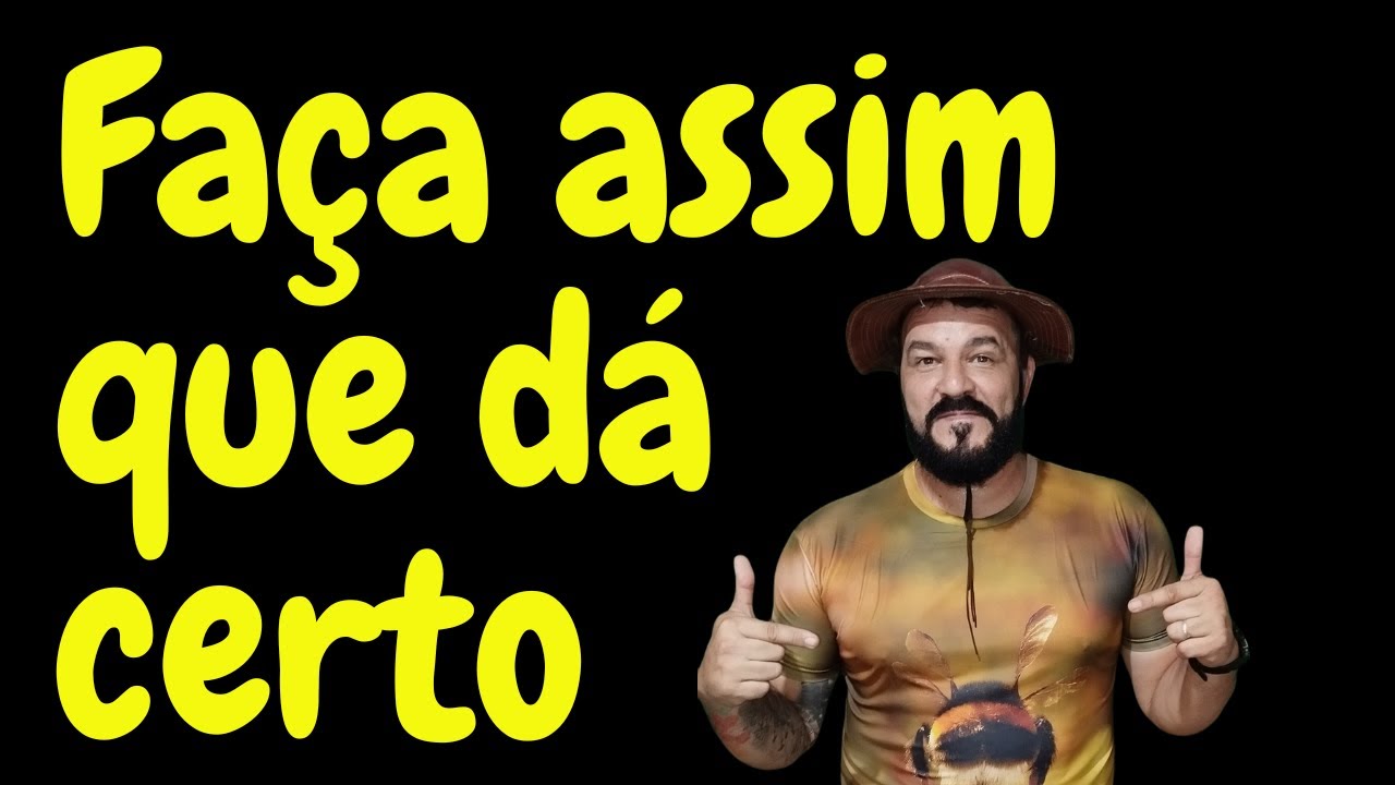 Faça assim que dá certo (Divisão de abelha canudo)