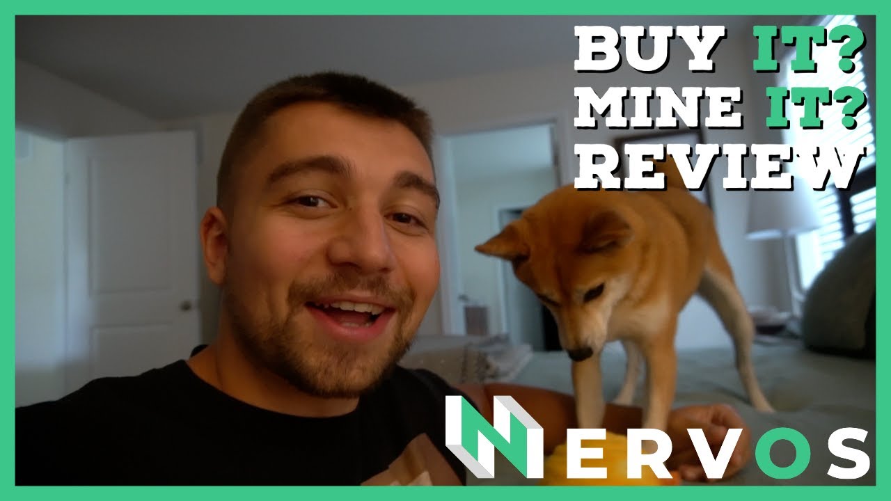 Why YOU Should Buy or Mine this Altcoin | Nervos CKB Review