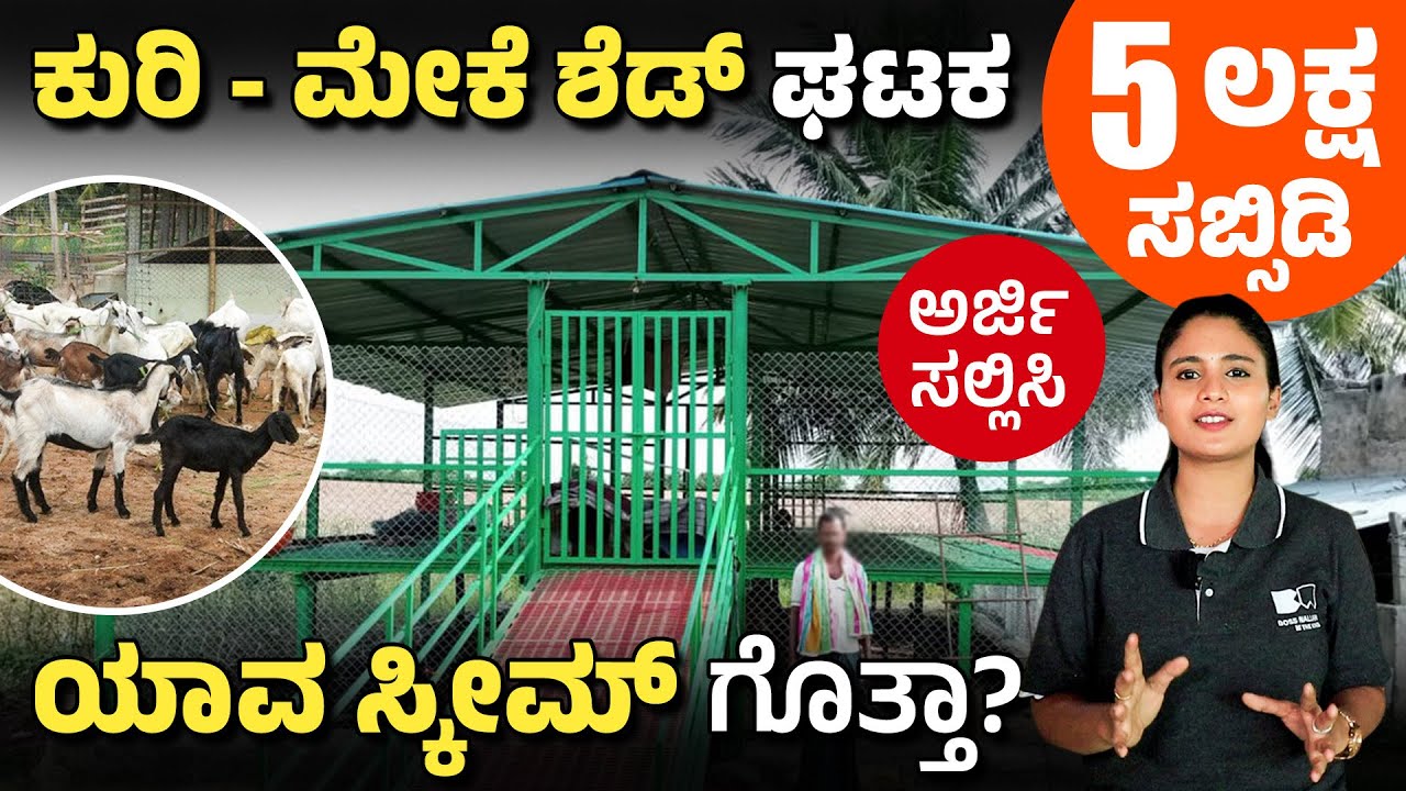ಕುರಿ ಮೇಕೆ ಶೆಡ್‌ಗೆ ಸರ್ಕಾರದಿಂದ 5 ಲಕ್ಷ ಸಬ್ಸಿಡಿ - Goat & Sheep Shed Subsidy 2025 - Eligibility Details