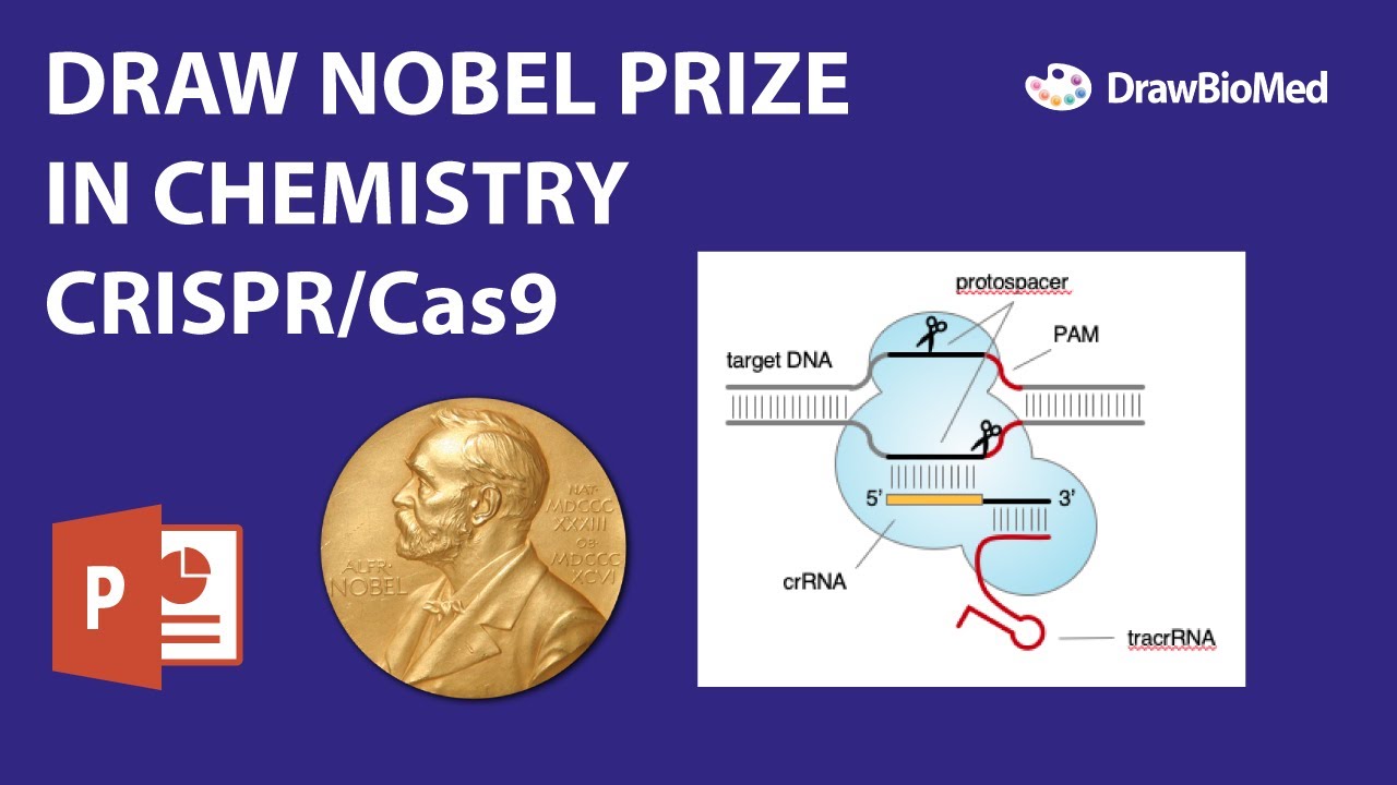 Иллюстрация Нобелевской премии CRISPR/Cas9 | Графическая аннотация в PowerPoint | Научная иллюстр...