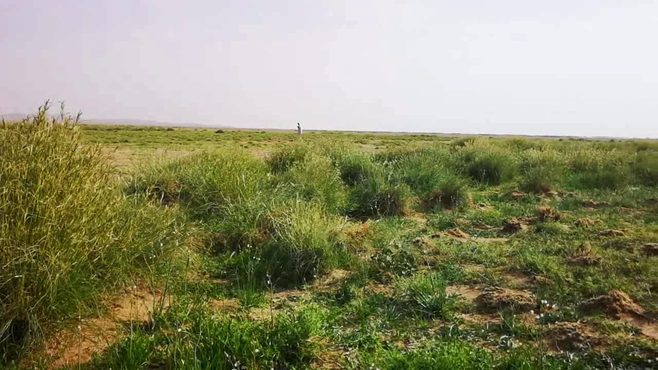 الربيع بالقرب من ثرب ربيع عام ١٤٤٠