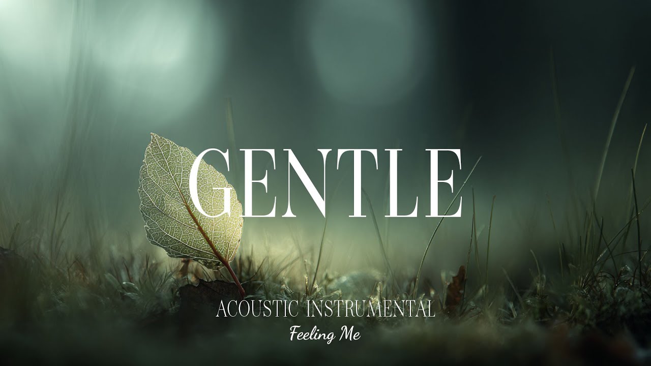 A Gentle Touch of Calm 🌱 Acoustic Guitar for Stress Relief and Tranquility | FEELING ME