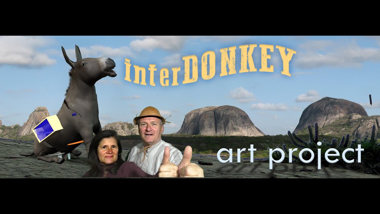 interDONKEY ● an art project
