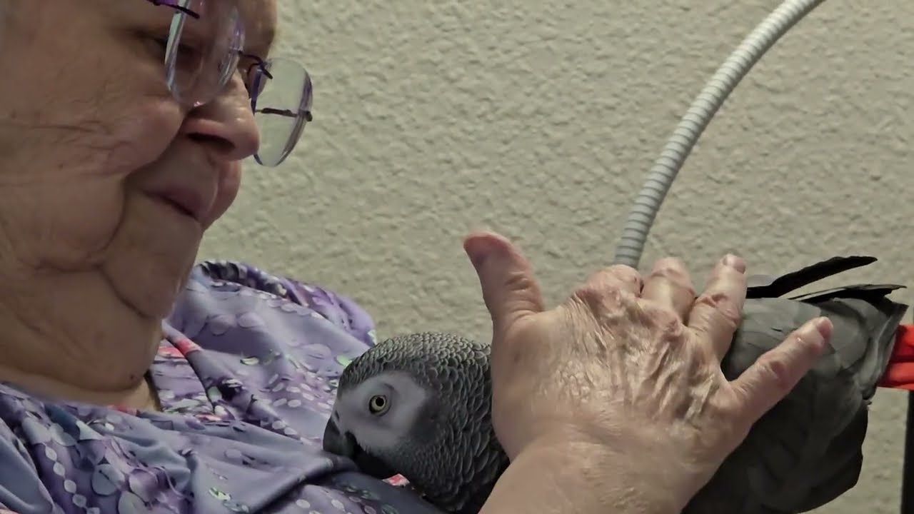 Ta'panga & grandma having a loving moment 