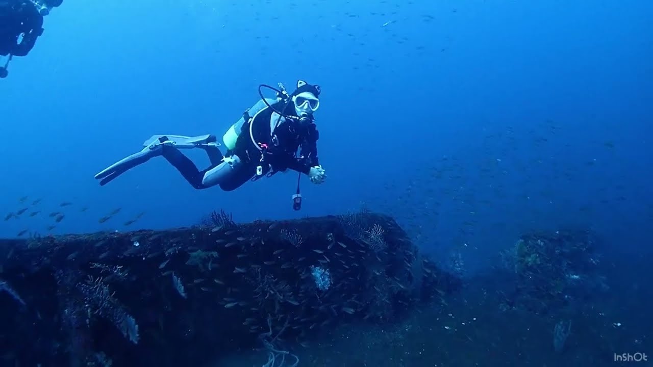 令和8年1月6日(火) 色の日　熱海沈船＆小曽我洞窟　diving