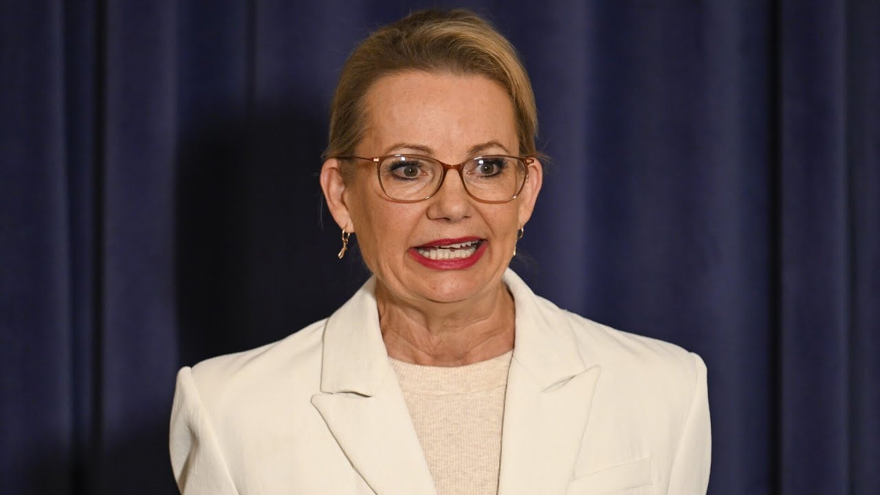 &lsquo;Historic low&rsquo;: Coalition&rsquo;s support crashes to 27 per cent in Newspoll
