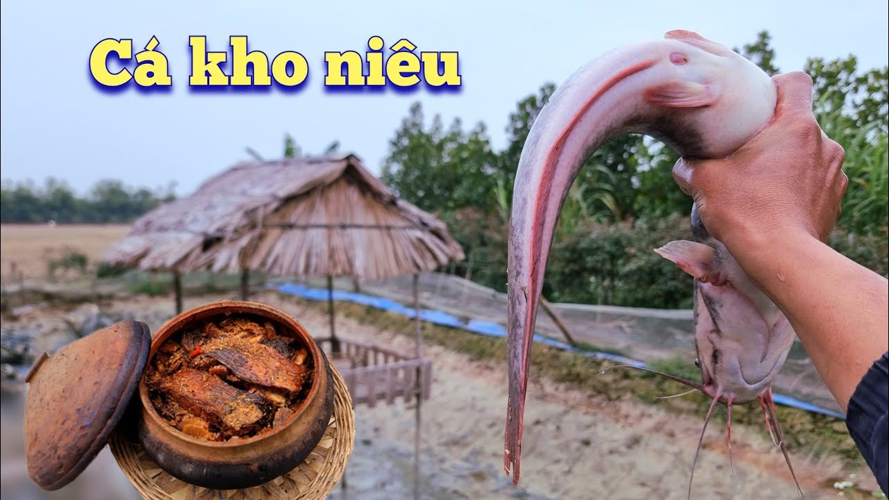 Dọn Lại Ao Bắt Những Con Cá Còn Sót Lại Và Nấu Con To Nhất / Quế Nghịch