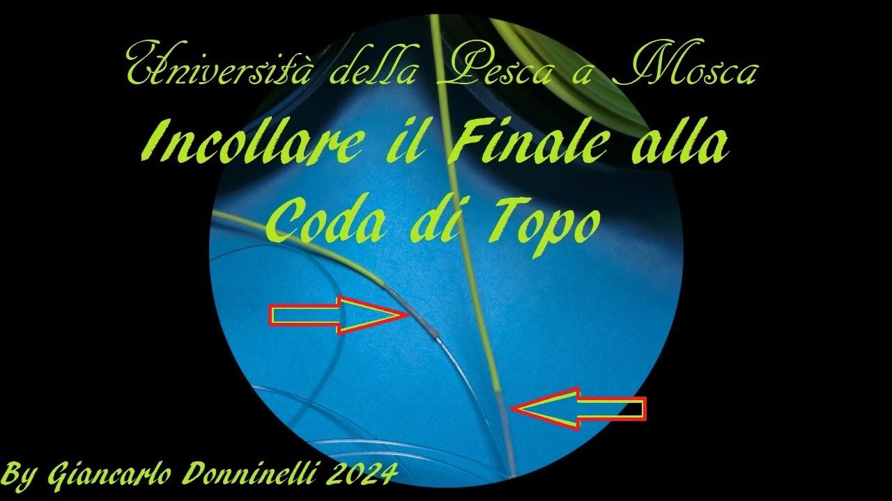 UNIVERSITA' DELLA PESCA A MOSCA INCOLLARE IL FINALE ALLA CODA DI TOPO By Giancarlo Donninelli