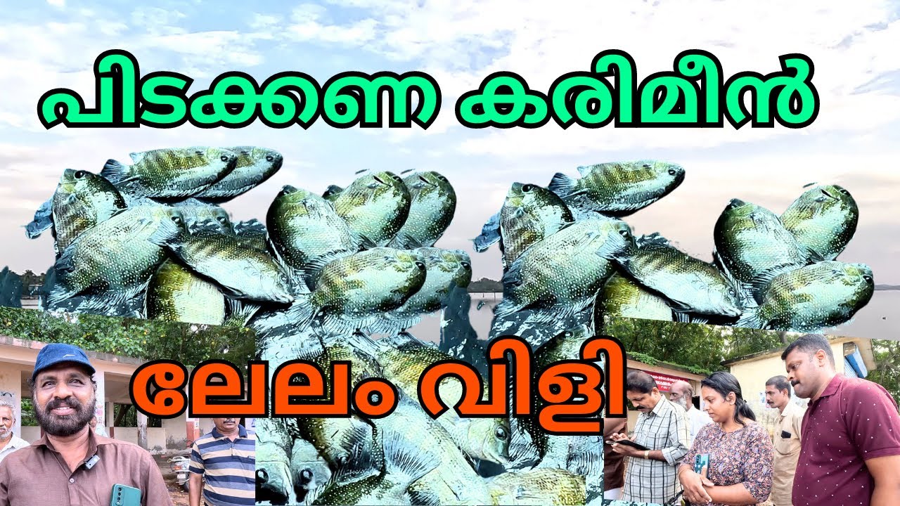 ലേലം വിളിച്ച് വാങ്ങാം | Village Fish Auction Market Kanakakunnu Kerala | Back Water Fish Auction