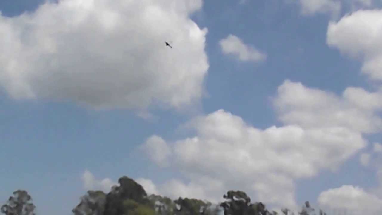 leo tattoo com tucano