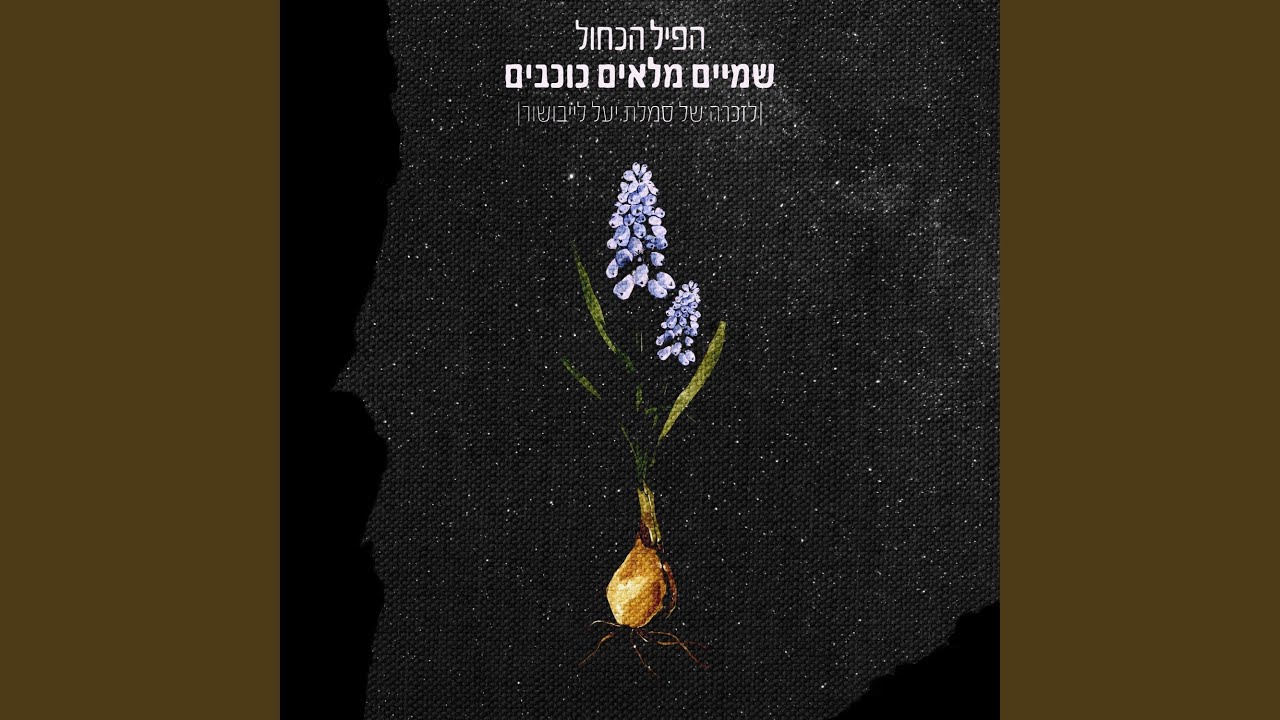 שמיים מלאים כוכבים