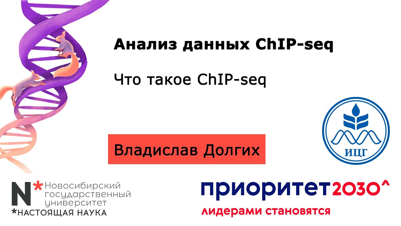 ChIP-seq (1): Что такое ChIP-seq // Влад Долгих