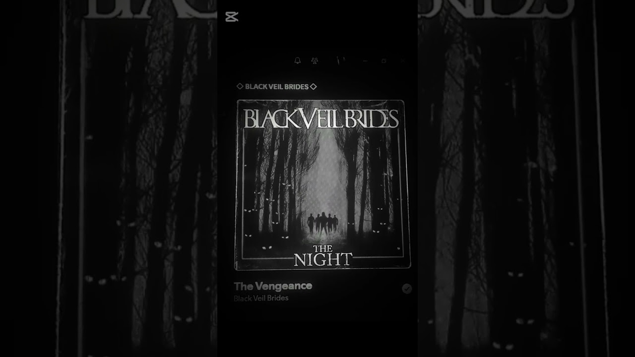 BLACK VEIL BRIDES ARMY #rockband #emo #andybiersack #blackveilbrides #bvb #bvbarmy