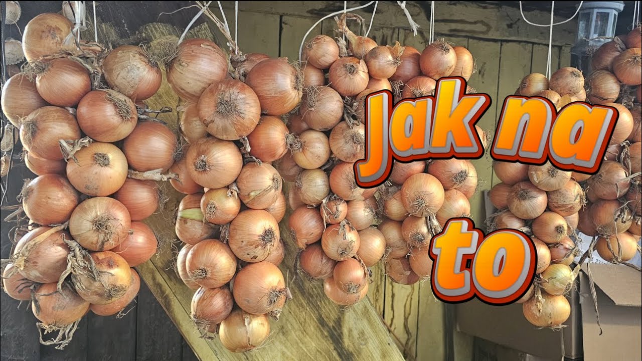Cibule , copy, jak udělat, snadný návod