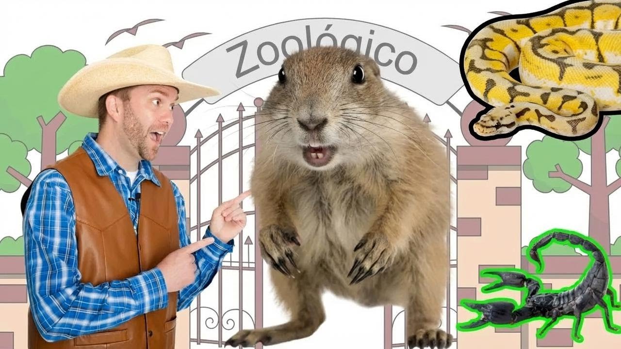 Animais Malucos com Cowboy Jack | Uma Hora de Diversão Animal para Crianças
