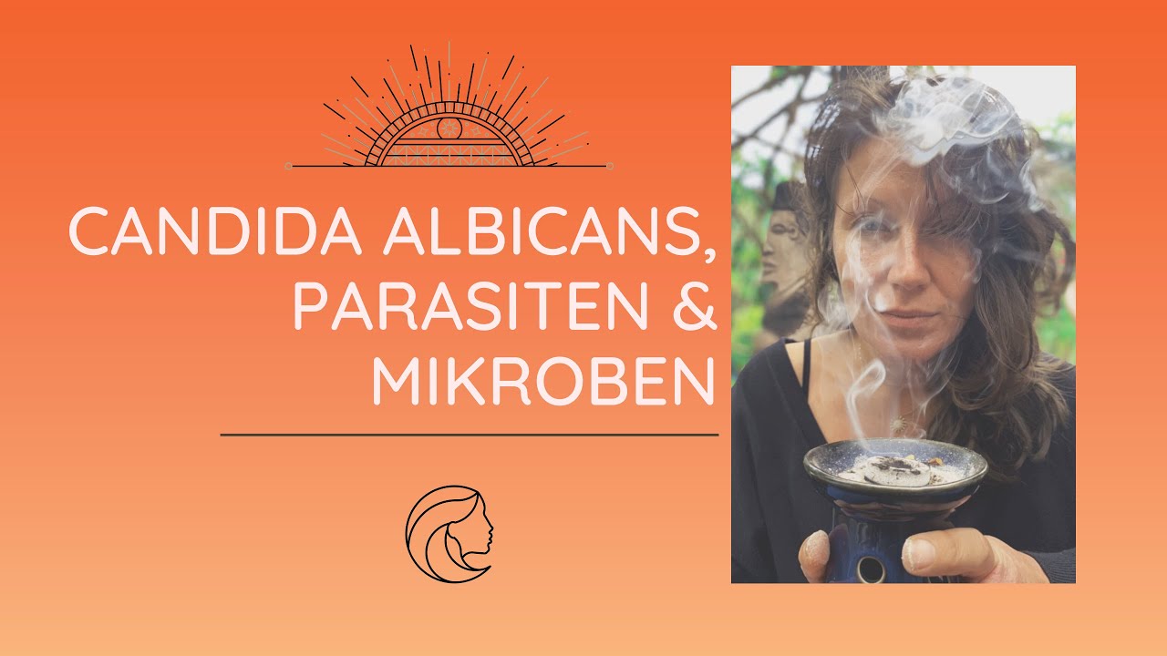 Invasion Candida Albicans - Resistenzbildung Antimykotika & Antibiotika
