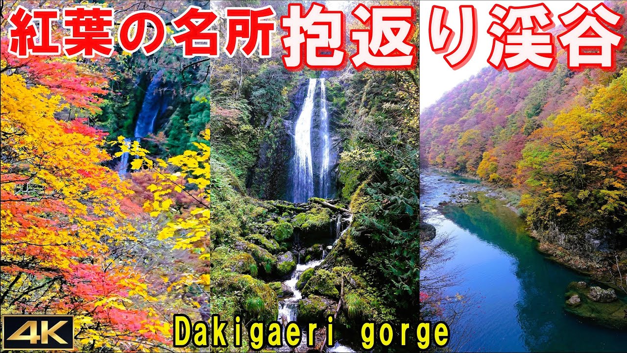 【AKITA】絶景！抱返り渓谷・秋田犬との出会い #紅葉に行こう ▽Dakigaeri Valley has beautiful autumn leaves! 秋田県仙北市