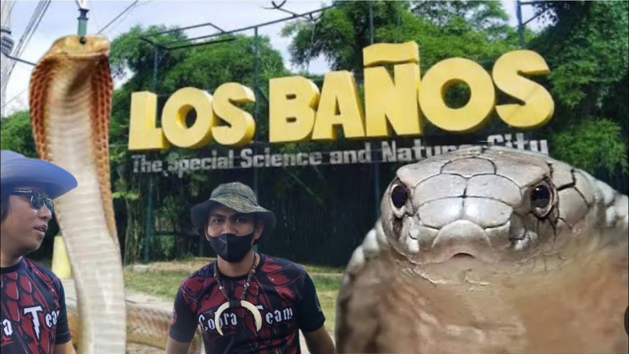 ESKWELAHAN SA LOS BAÑOS LAGUNA PINASOK NG COBRA #cobraprince #cobraking