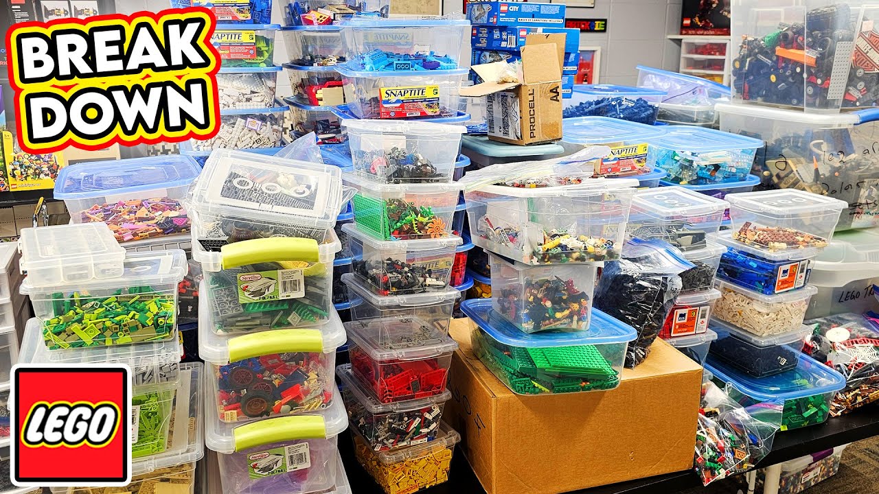 My Biggest BULK LEGO BUY! Finding Gems and Sorting