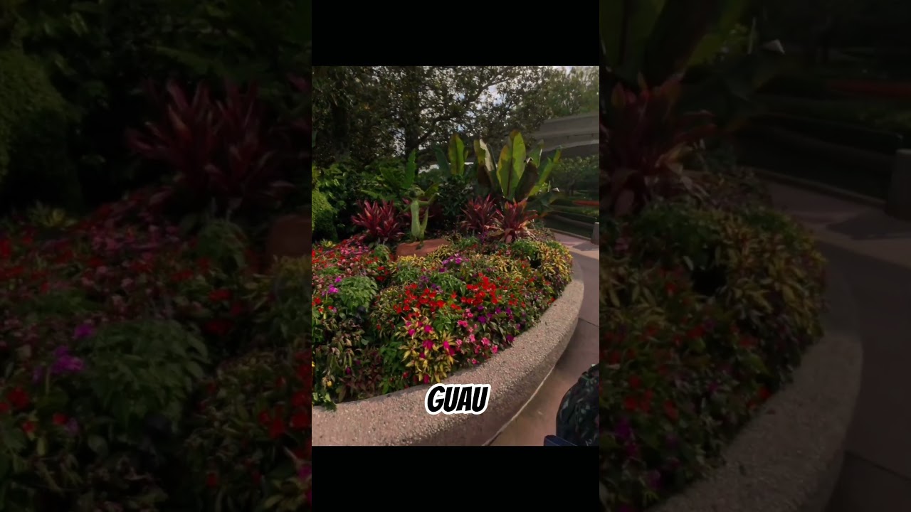 Epcot un parque muy Especial :) 