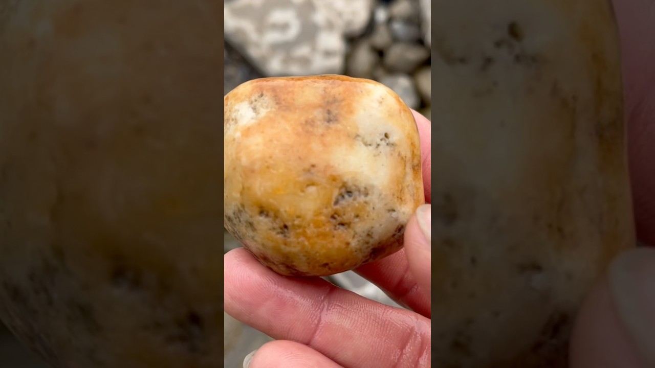 Oxidized gold ore quartz rock🤗#crystals #geology #stone #rockhounding #gems #mining #discovery #now