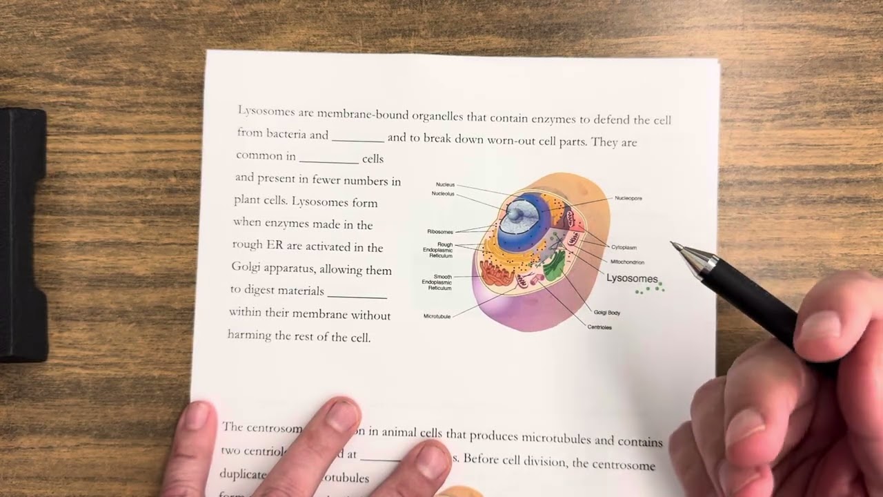 Cell Organelles Lecture pt2