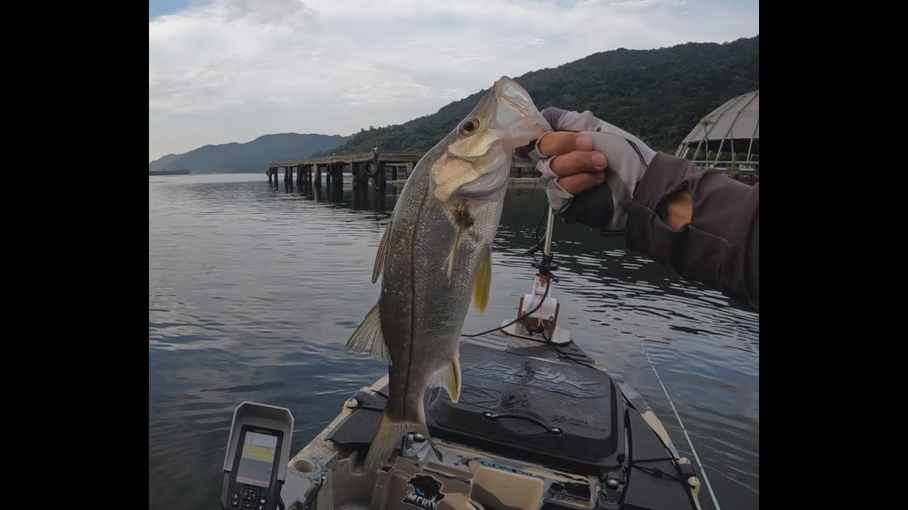 LEVOU PRA PILASTRA E ESTOUROU A LINHA, pesca de robalos no canal de bertioga, caiaque ARK 1290!!