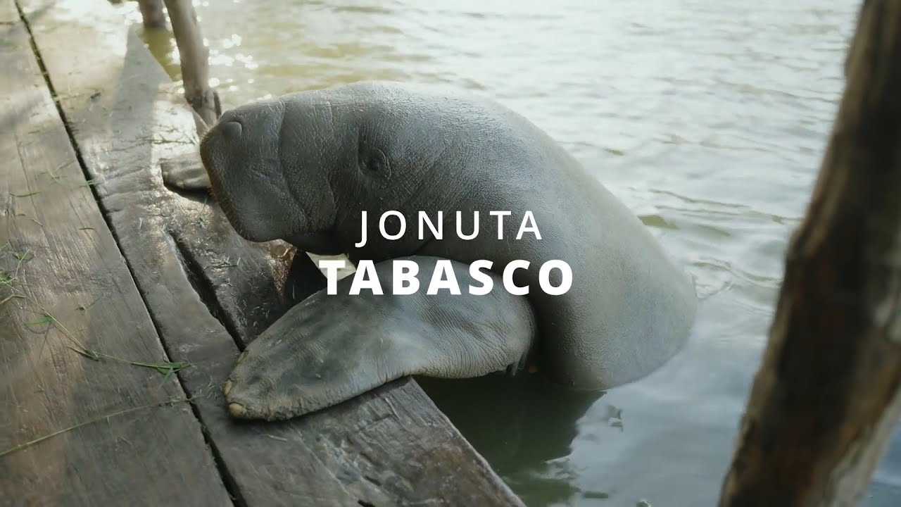 Tabasco Memorable, una gran aventura con Paco Marroquín y Paco Marroquín Zea | Cap. 10 Jonuta