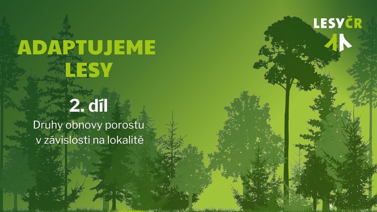 Adaptujeme lesy - 2. díl
