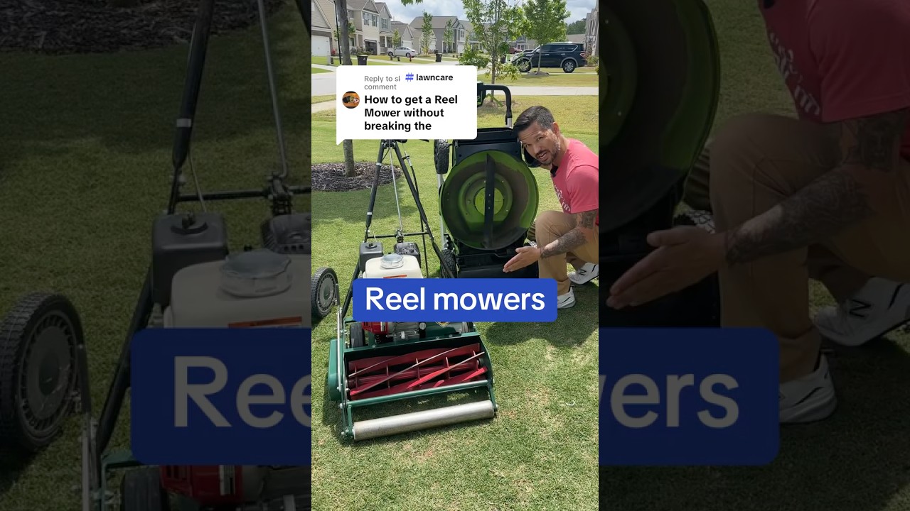 What is a reel mower, why might you need one, and are there any budget-friendly options #lawncare