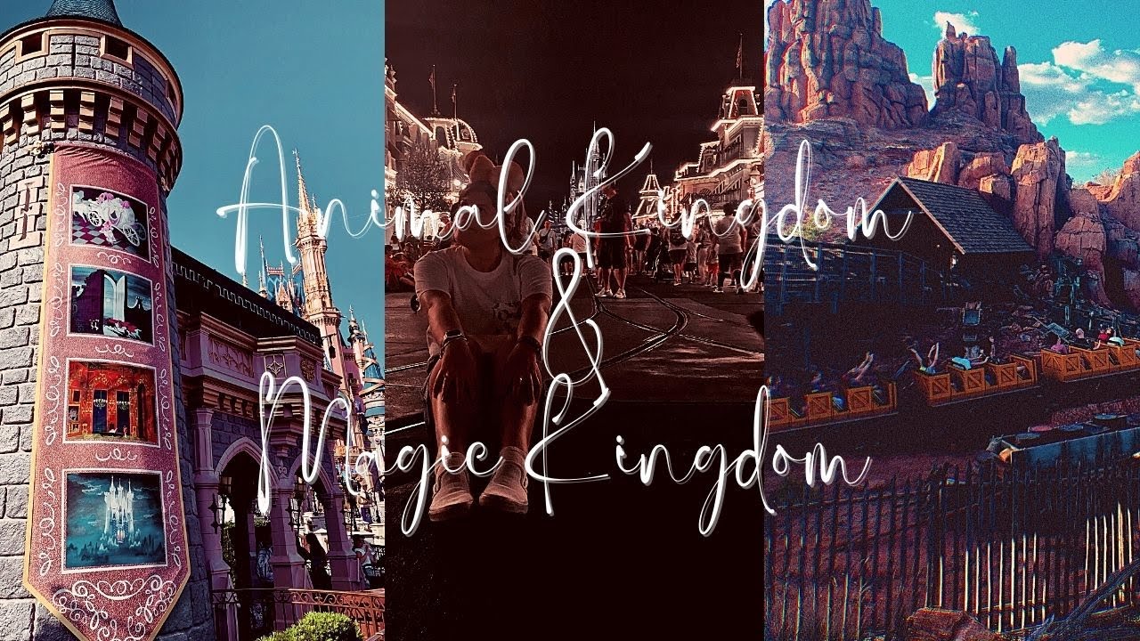 OUR LAST DISNEY DAY - FOR NOW✨(FEB 2022)